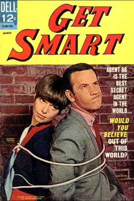 糊涂侦探/Get Smart(1965)