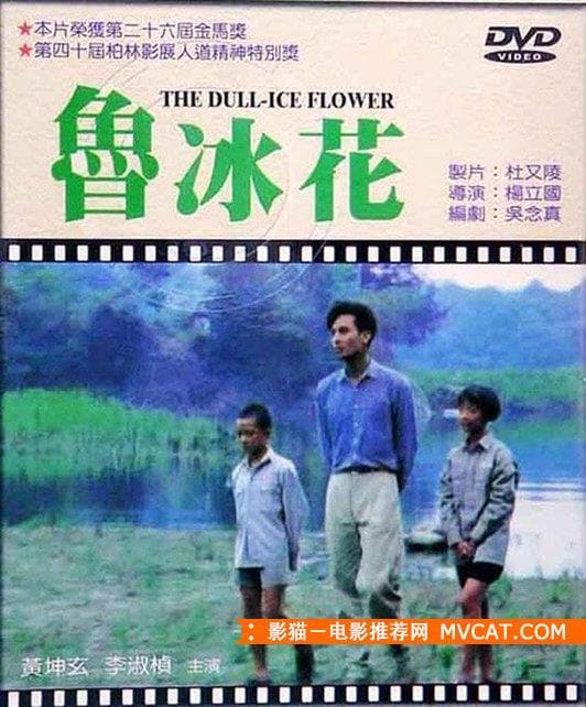 《经典悲剧电影推荐》——影猫-电影推荐网 WWW.MVCAT.COM