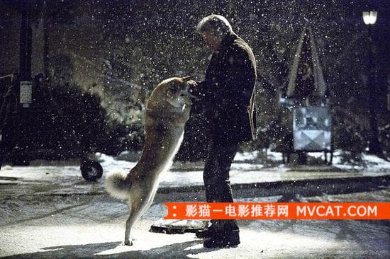 《治愈系电影推荐》 影猫-电影推荐网 WWW.MVCAT.COM
