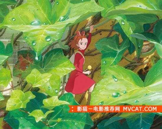 《治愈系电影推荐》 影猫-电影推荐网 WWW.MVCAT.COM