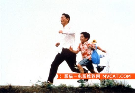 《治愈系电影推荐》 影猫-电影推荐网 WWW.MVCAT.COM