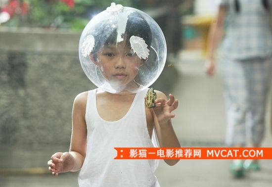 《治愈系电影推荐》 影猫-电影推荐网 WWW.MVCAT.COM