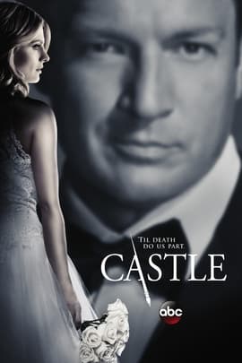 灵书妙探/Castle(2009)