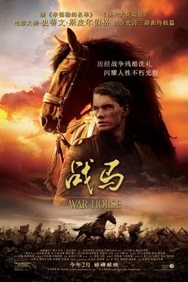 战马/War Horse(2011)