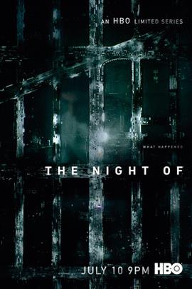 罪夜之奔/The Night Of(2016)
