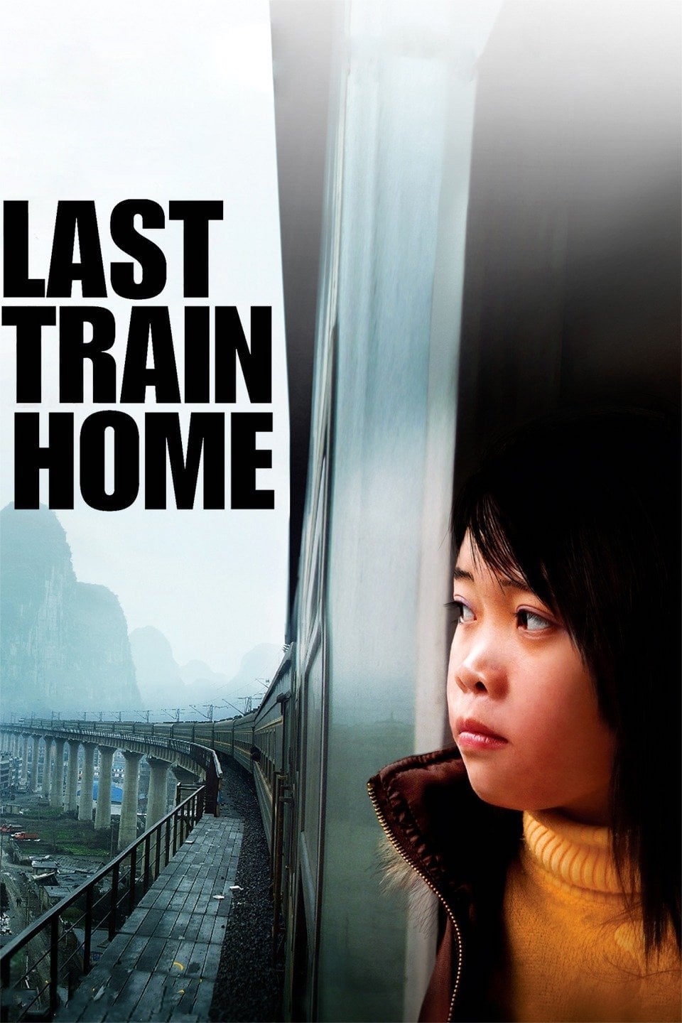 纪录片《归途列车》（2010）