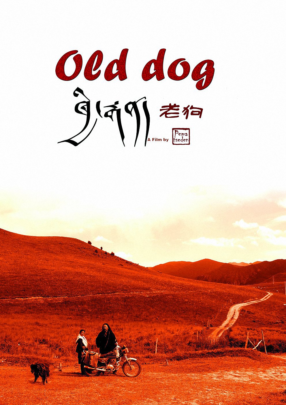 剧情片《老狗》（2011）