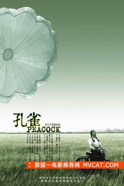 柏林电影节获奖国产电影-影猫mvcat.com