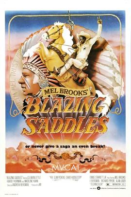 神枪小子/Blazing Saddles(1974)