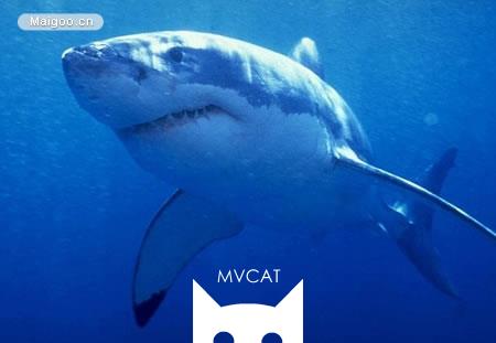 电影中10大凶猛动物：遭遇大白鲨抵抗无效