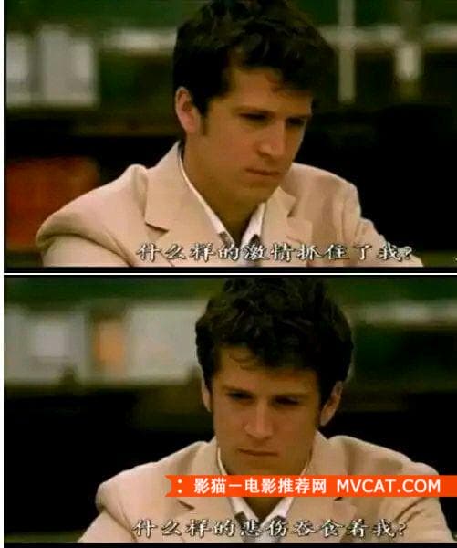 《为一句台词 爱一部电影》 影猫－电影推荐网 WWW.MVCAT.COM