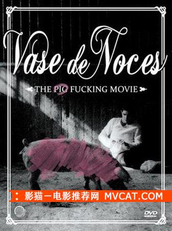 《猪猪电影推荐》影猫－电影推荐网 WWW.MVCAT.COM