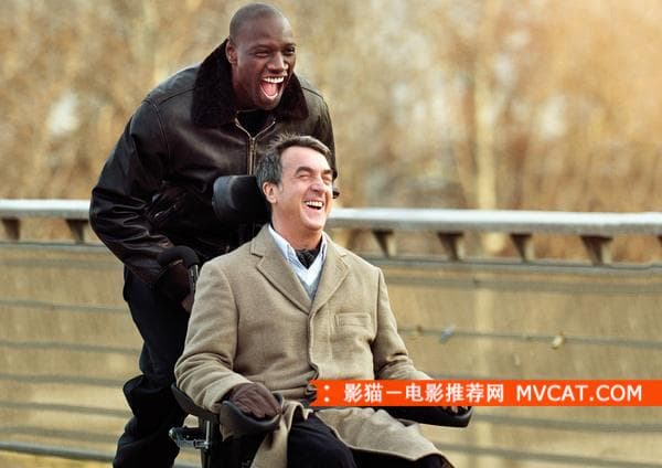 《治愈系电影推荐》 影猫-电影推荐网 WWW.MVCAT.COM