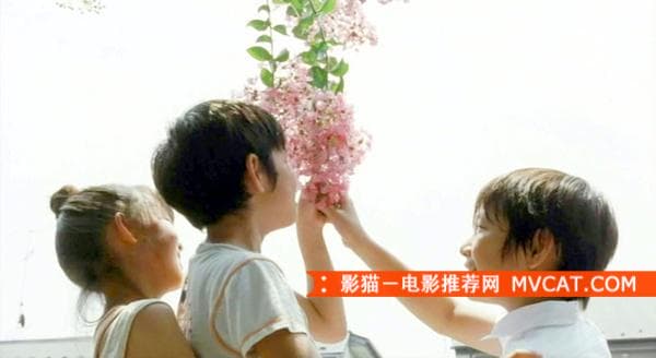 《治愈系电影推荐》 影猫-电影推荐网 WWW.MVCAT.COM