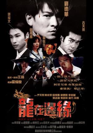 《香港电影推荐之十大卧底》——影猫-电影推荐网 WWW.MVCAT.COM