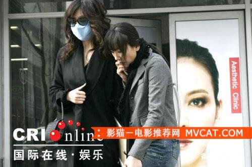 《50部中外经典伦理电影推荐》 影猫－电影推荐网 WWW.MVCAT.COM