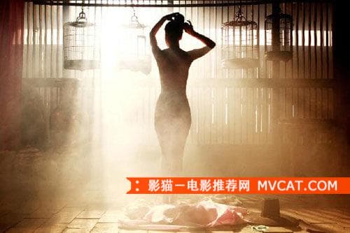 《50部中外经典伦理电影推荐》 影猫－电影推荐网 WWW.MVCAT.COM