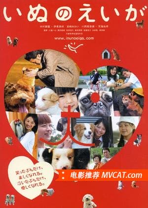 《打动人心的电影》影猫－电影推荐网 WWW.MVCAT.COM