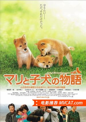 《打动人心的电影》影猫－电影推荐网 WWW.MVCAT.COM