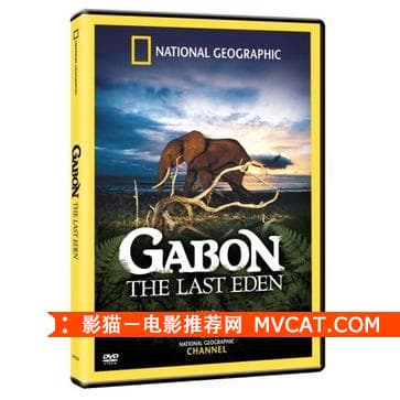 《一个国家一部电影》影猫－电影推荐网 WWW.MVCAT.COM