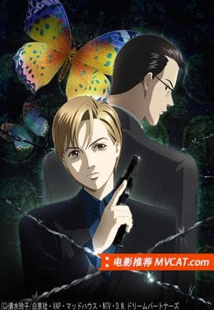 600部腐片 电影推荐 Mvcat