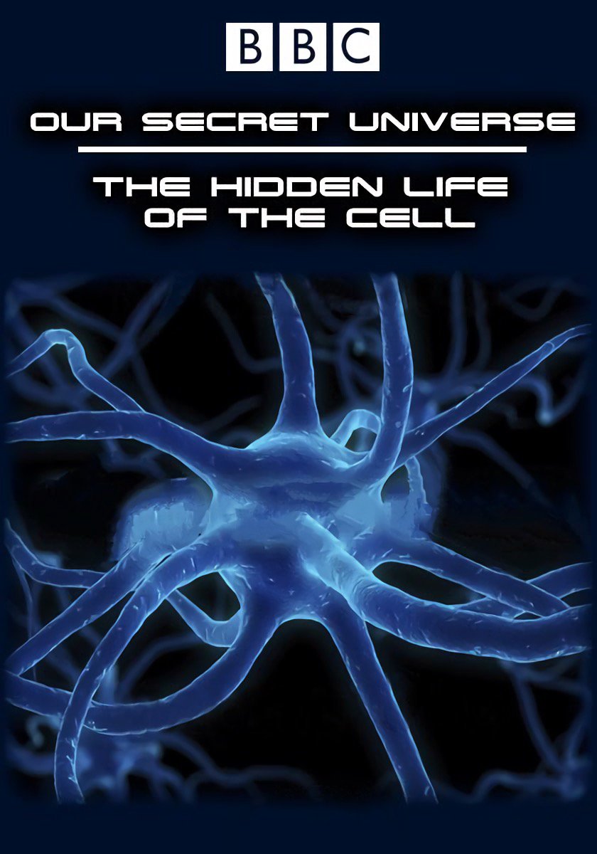 纪录片《人体奥妙之细胞的暗战》（2012）