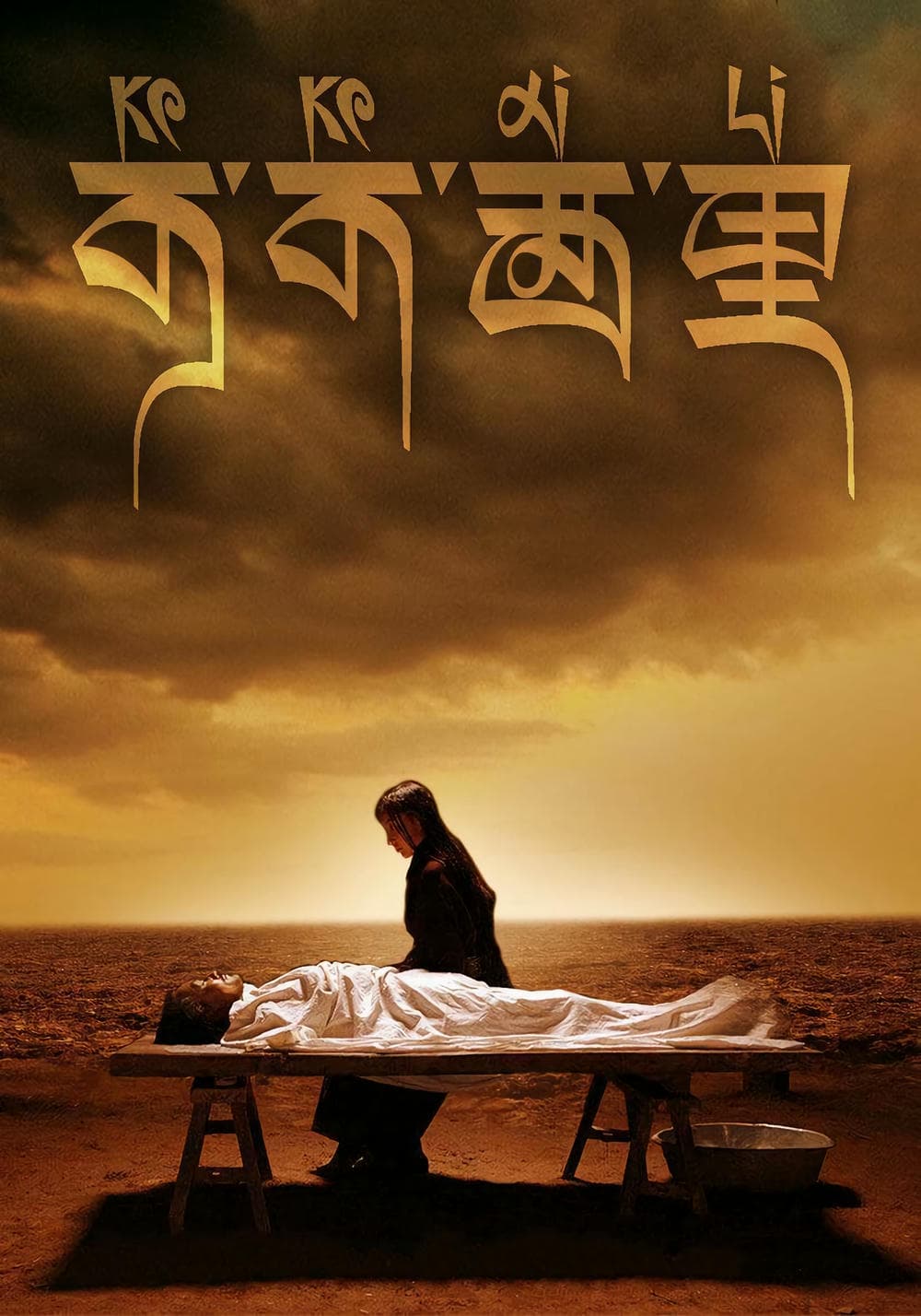 剧情片《可可西里》（2004）