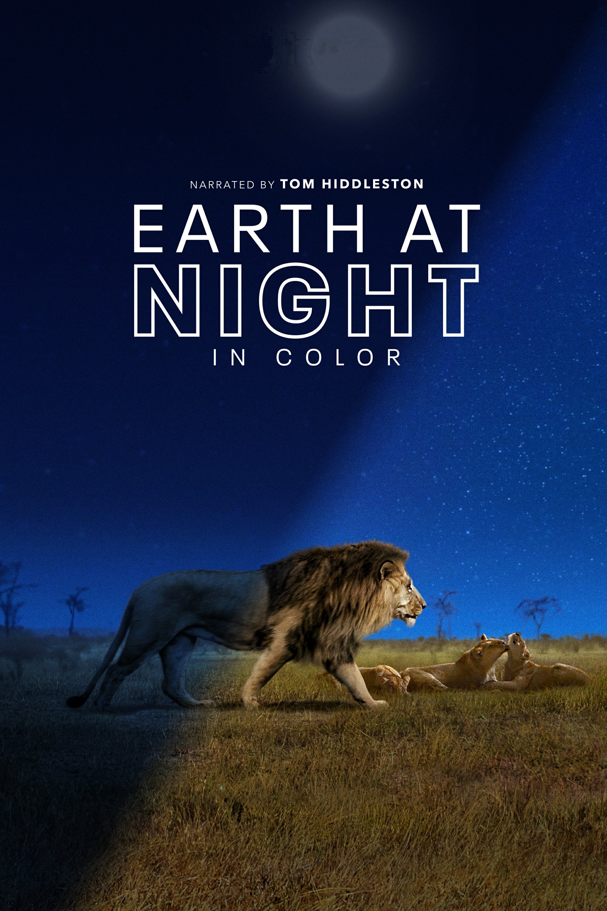 纪录片《夜色中的地球》（2020）