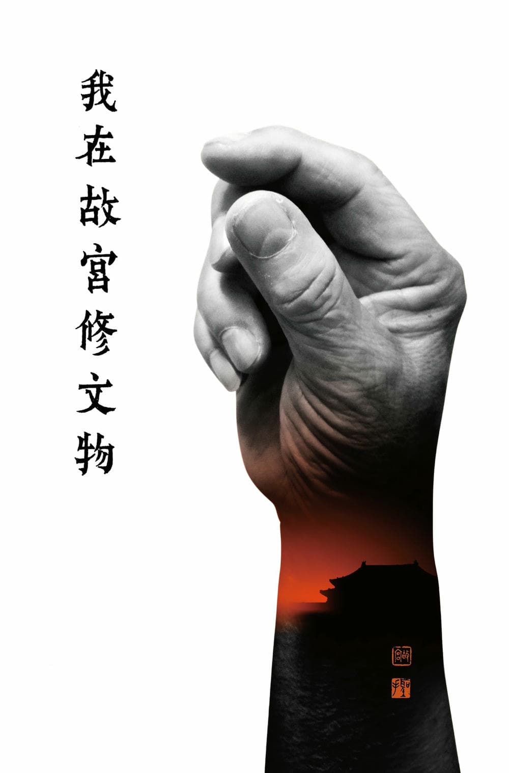 纪录片《我在故宫修文物》（2016）