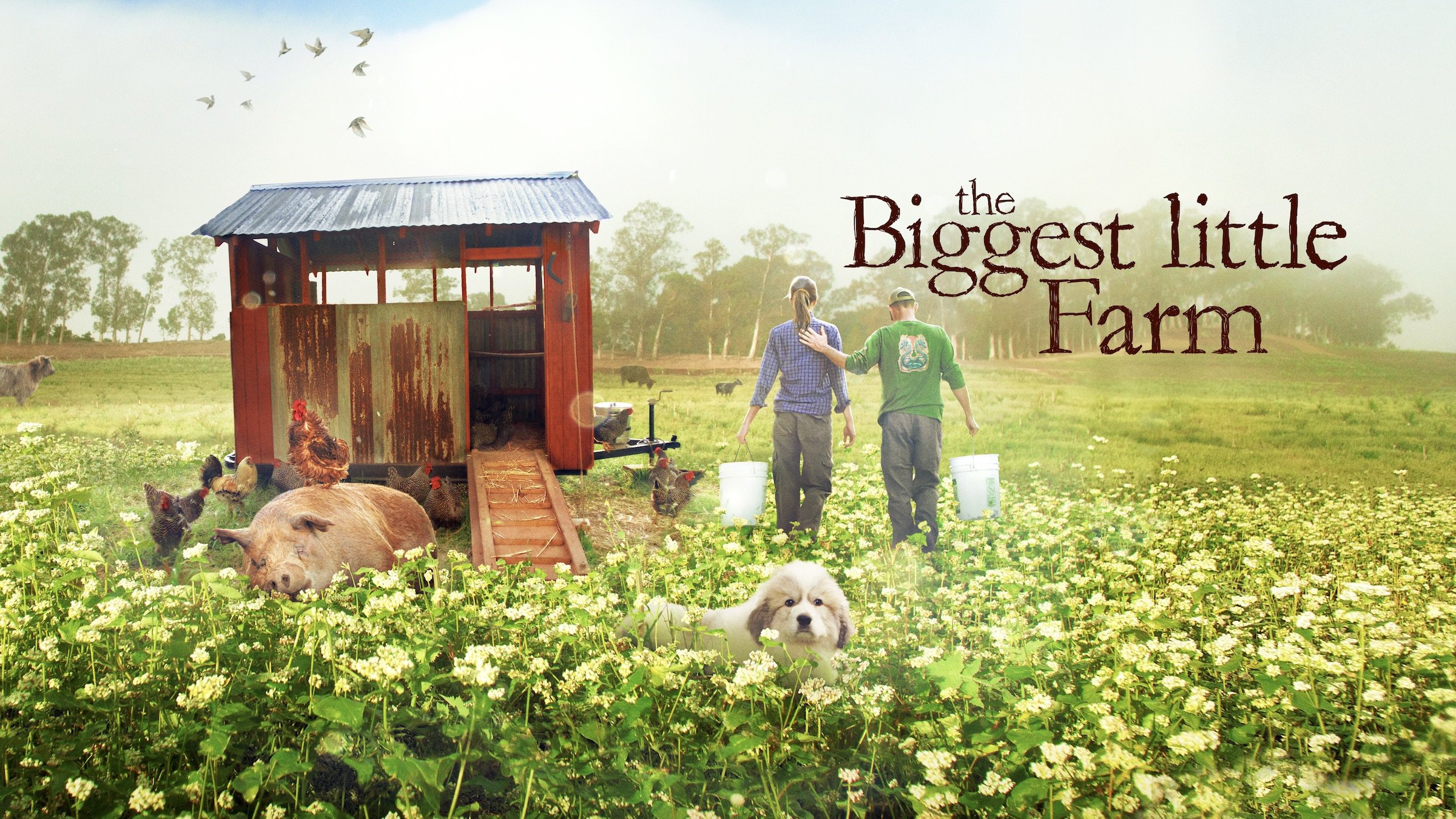 纪录片《最大的小小农场》（2018）