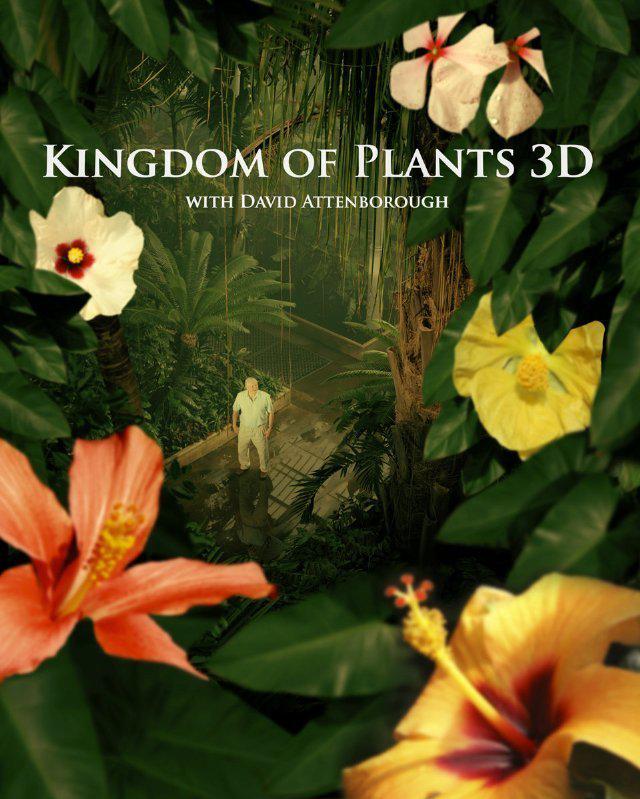 纪录片《植物王国》（2013）