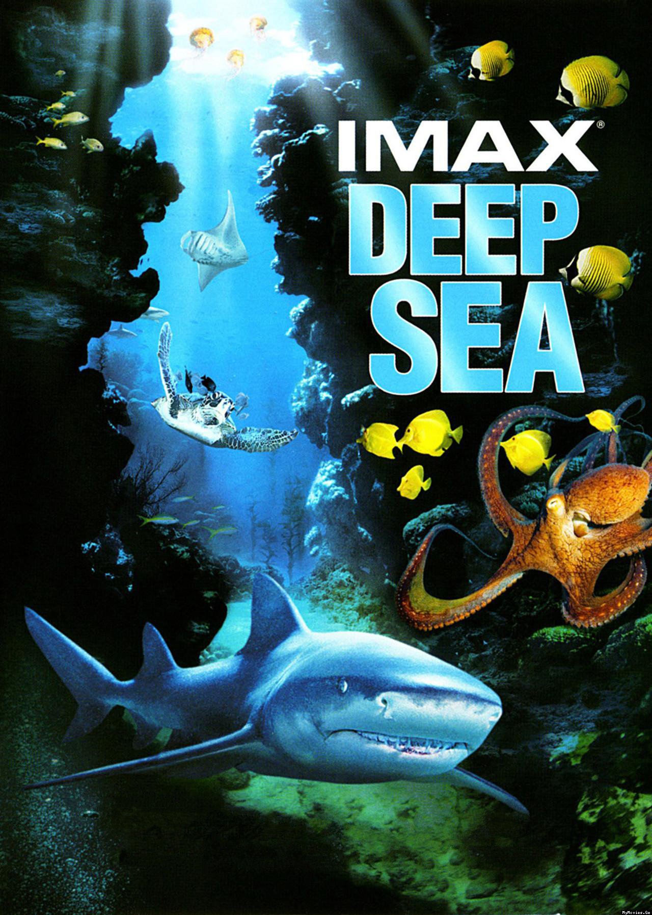 纪录片《深海猎奇》（2006）