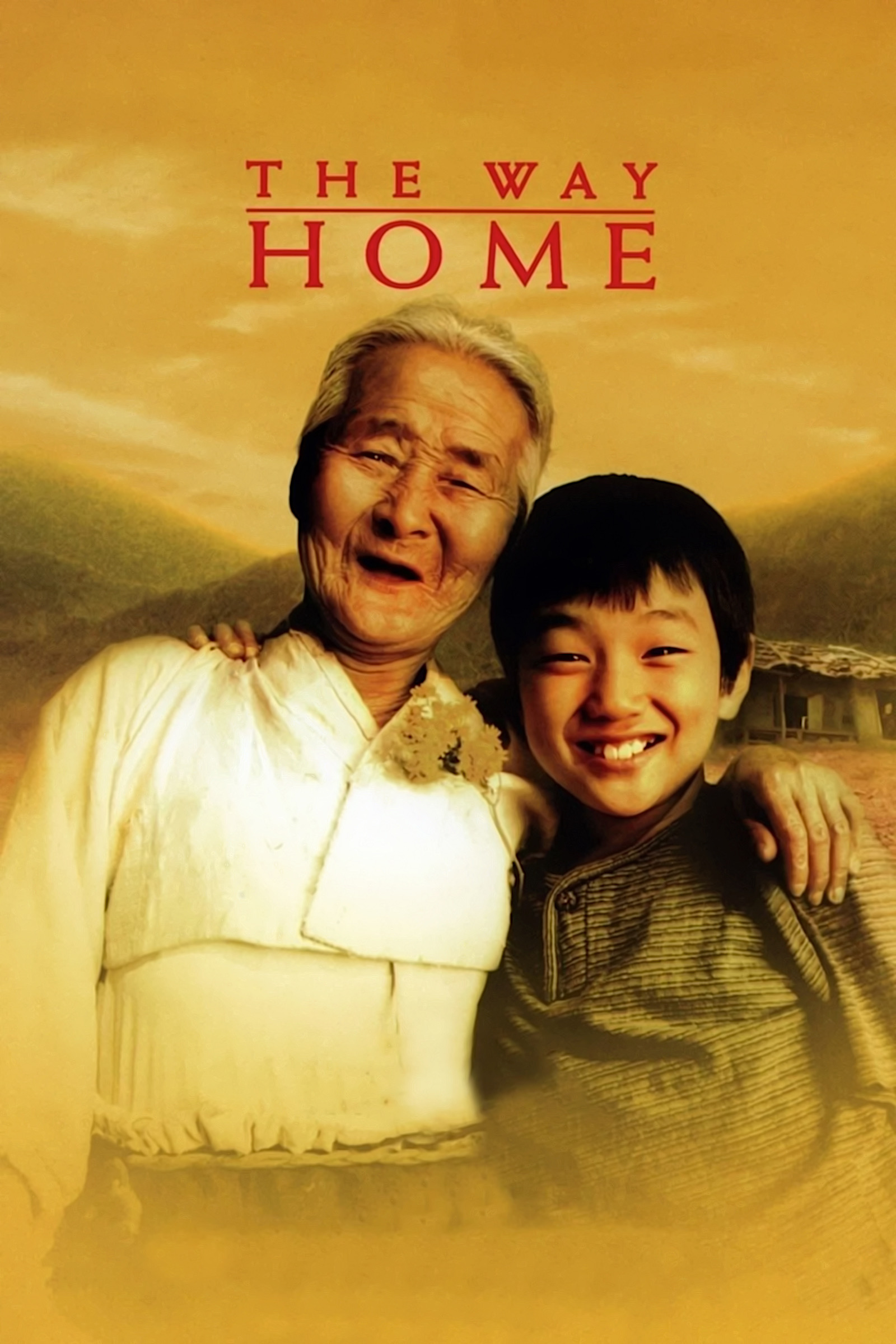 剧情片《爱·回家》（2002）