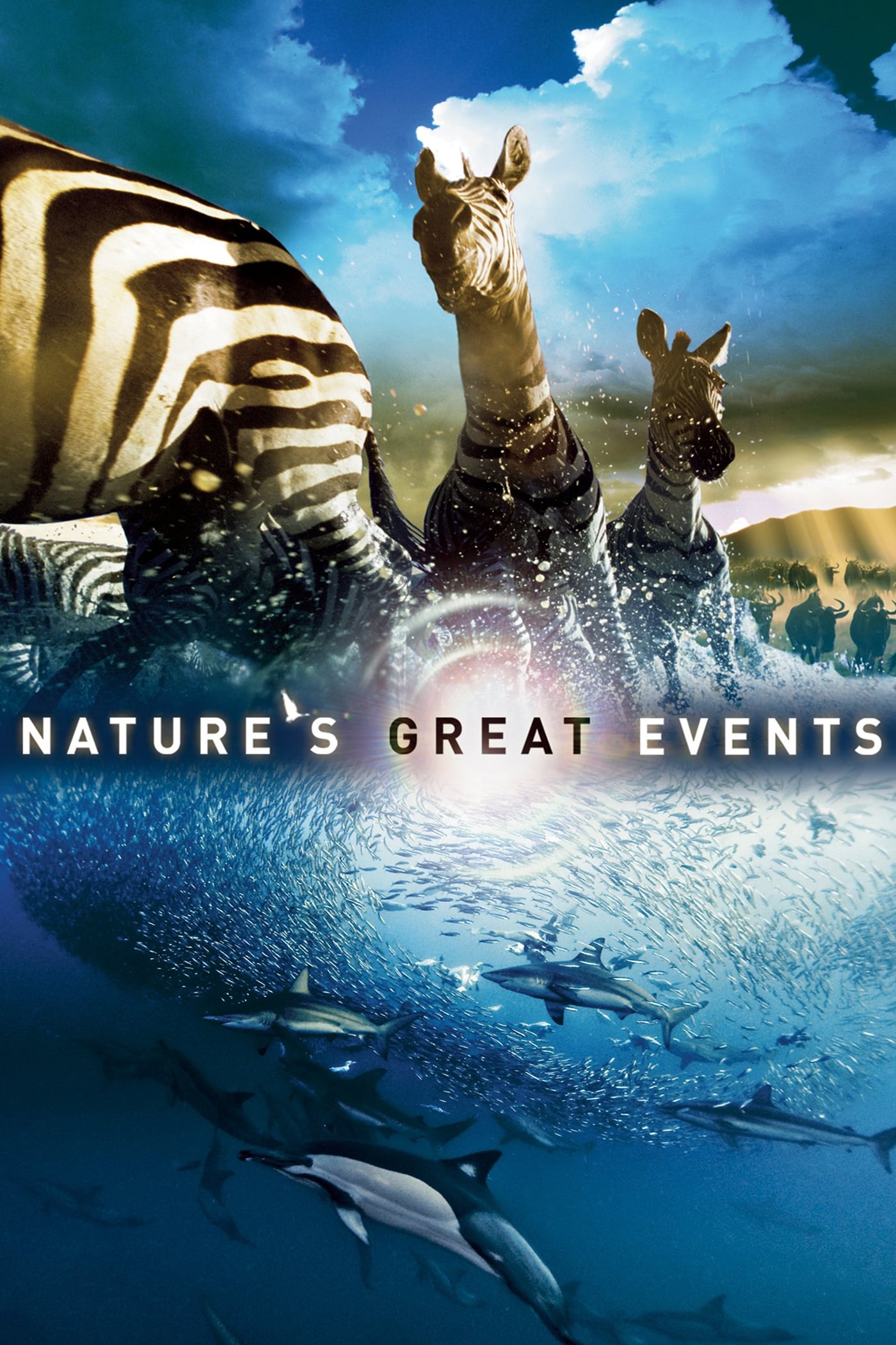 纪录片《自然界大事件》（2009）