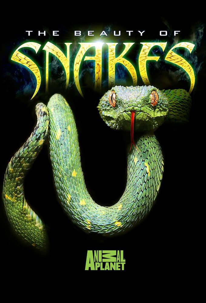纪录片《蛇之惊艳奇观》（2003）