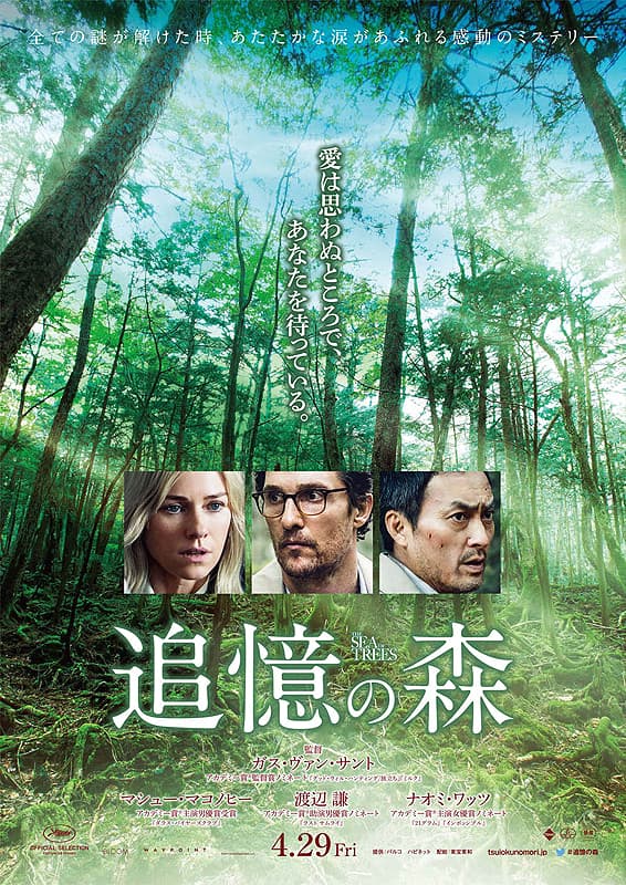 青木原森林Aokigahara