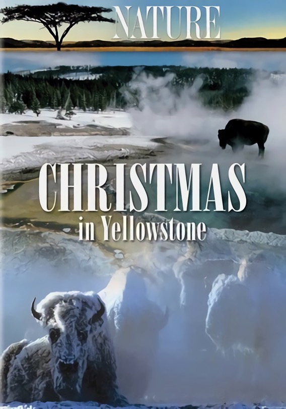 纪录片《黄石的圣诞》（2006）